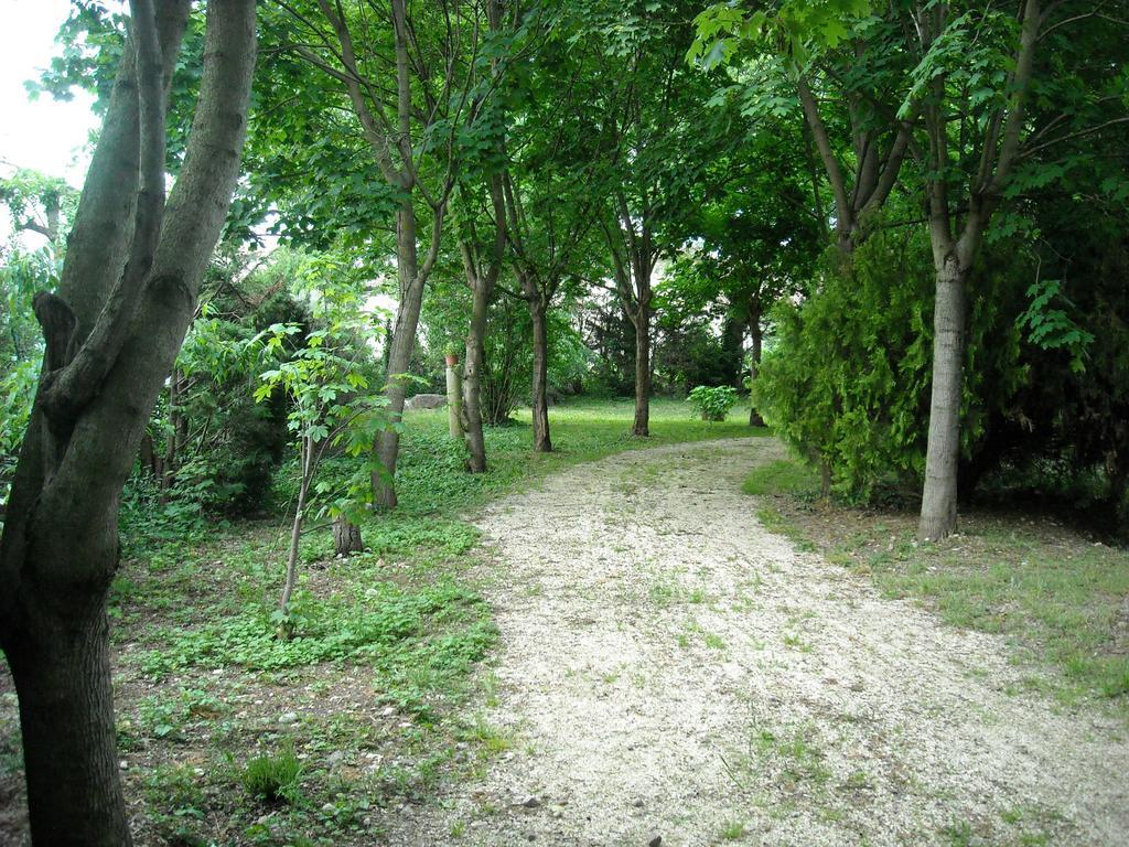 B&B Corte Bezzetti Volta Mantovana Dış mekan fotoğraf