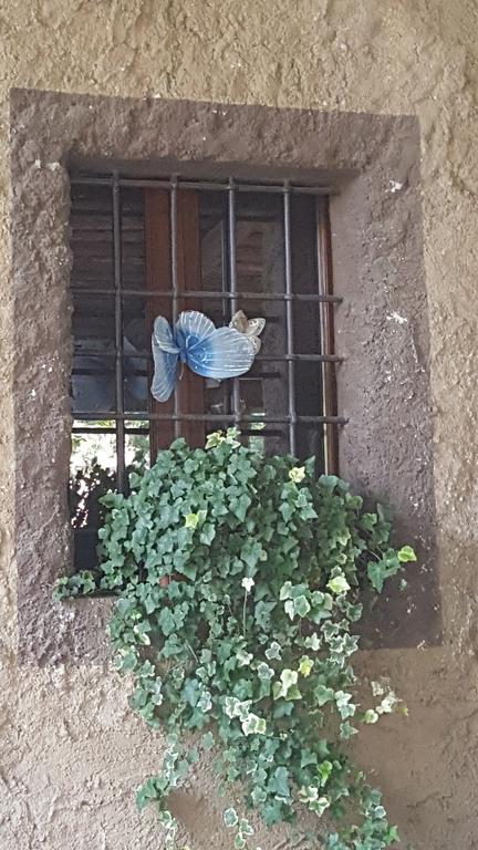 B&B Corte Bezzetti Volta Mantovana Dış mekan fotoğraf